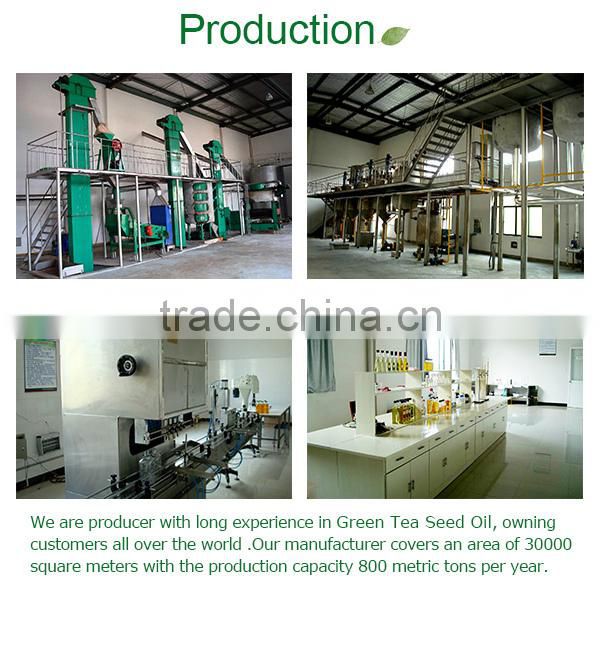 Green Tea Seed Oil 109 carrier oil , essential oil raw material , massage oil