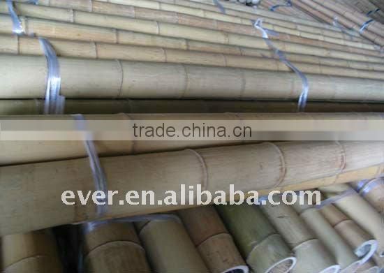 bamboo pole