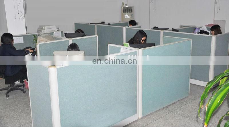 Paper Bunting Birthday flags