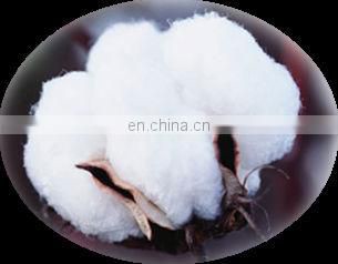 mixed socks animal knitted