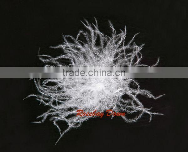 Royal 100% White Duck Down Four Season Duvet