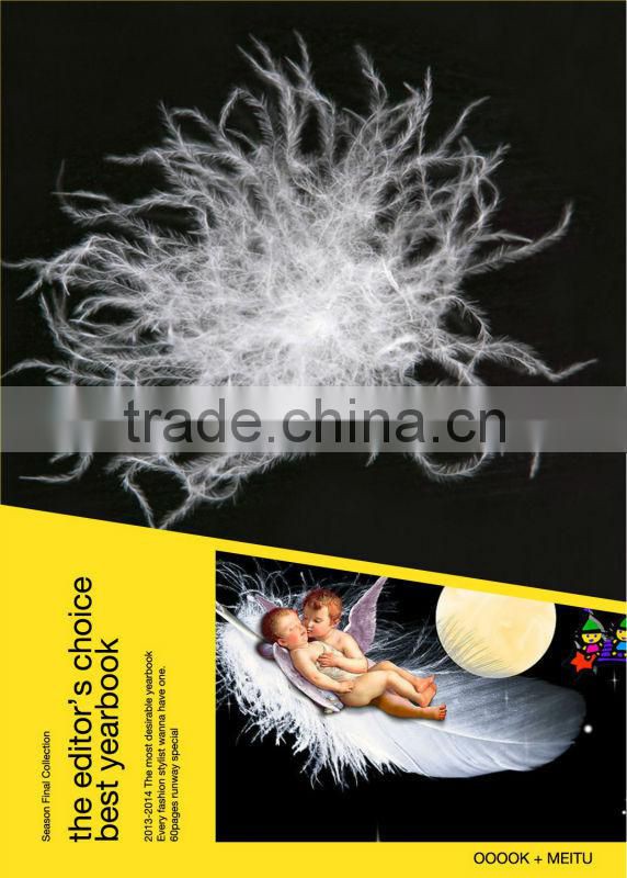 Luxury Paris Fashion High Lofty Jacquard Goose Down Duvet