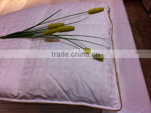 Luxury Paris Fashion High Lofty Jacquard Goose Down Duvet