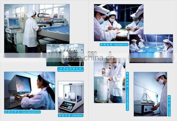 Washed Gray Duck Down