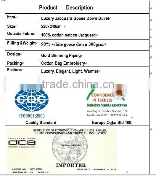 Luxury Paris Fashion High Lofty Jacquard Goose Down Duvet