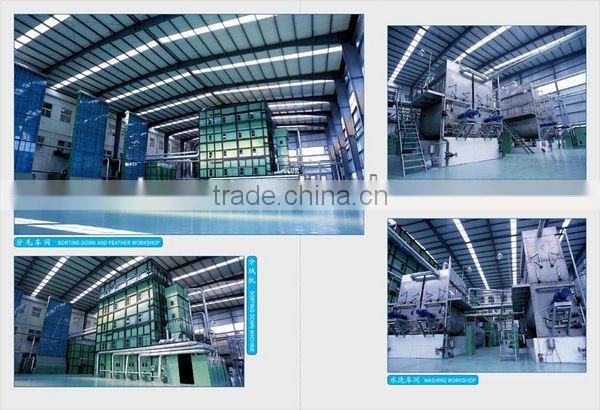 Washed Gray Duck Down