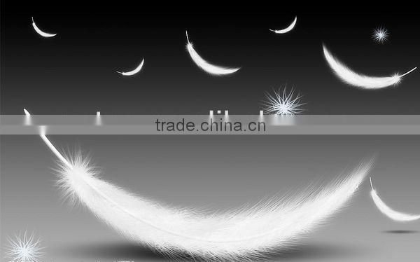 Royal 100% White Duck Down Four Season Duvet