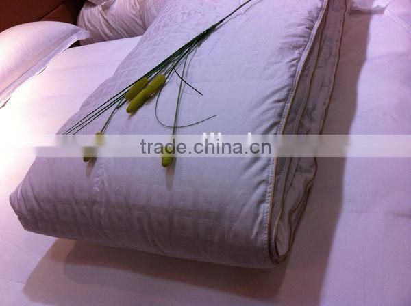 Luxury Paris Fashion High Lofty Jacquard Goose Down Duvet