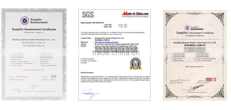 blank plain cotton polo style baseball cap hat hats