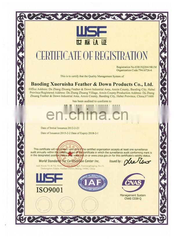 fashion design mens winter jacket with 90/10 duck down fill