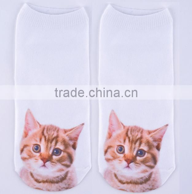 Animal kitten 3D printed board socks wholesale