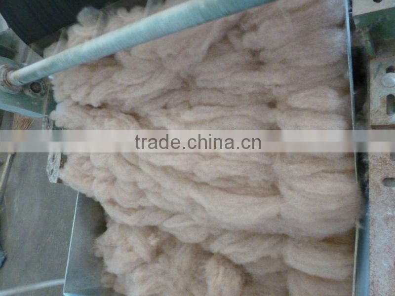 Dehaired camel hair from Alashan, Inner Mongolia