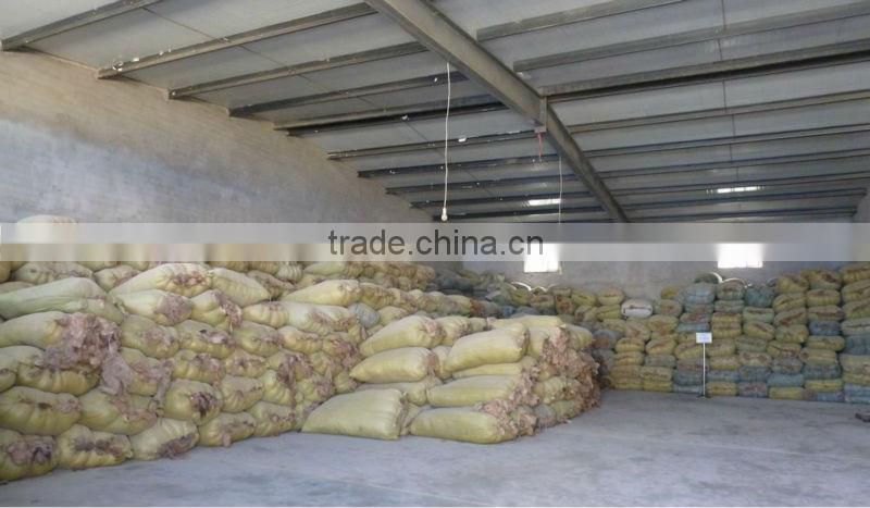 Dehaired camel hair from Alashan, Inner Mongolia