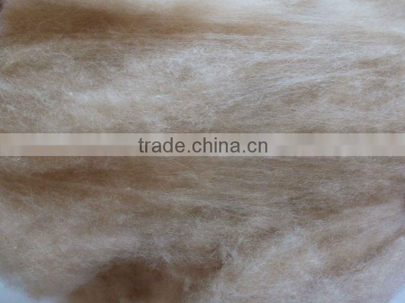 Dehaired camel hair from Alxa, Inner Mongolia