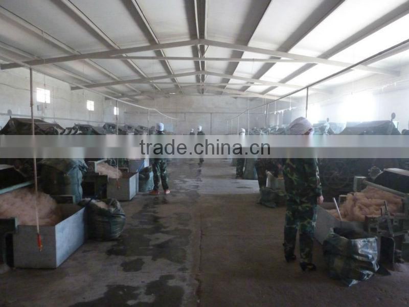 Dehaired camel hair from Alashan, Inner Mongolia