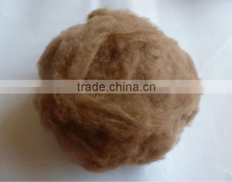 Dehaired camel hair from Alxa, Inner Mongolia