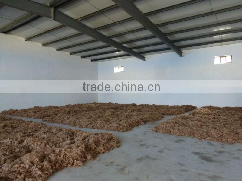 Dehaired camel hair from Alashan, Inner Mongolia
