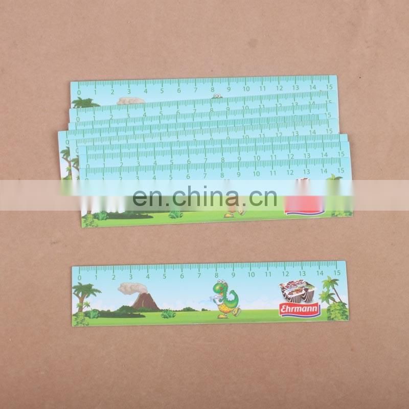 Custom 15cm 30cm PVC PP Flexible Plastic Ruler