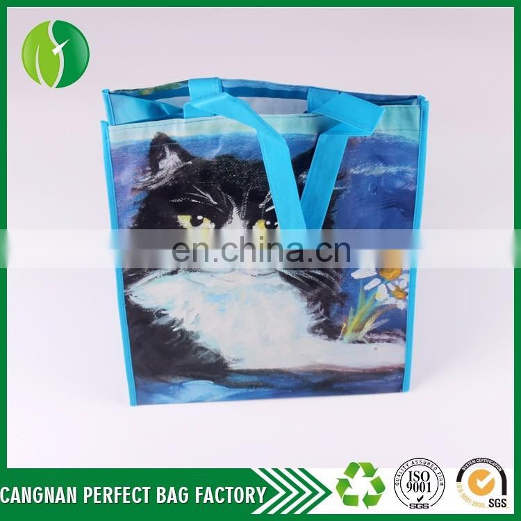 Customize cheap price Eco-Friendly And Heavy Duty non woven reusable Printing shopping bag