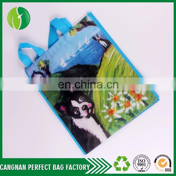 Customize cheap price Eco-Friendly And Heavy Duty non woven reusable Printing shopping bag