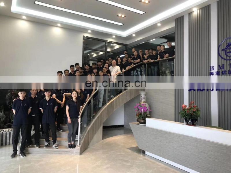 BMTSR Rear Axle Shock Absorber Dampers For W204 GLK-Class X204 OEM 2043200131 2043264600