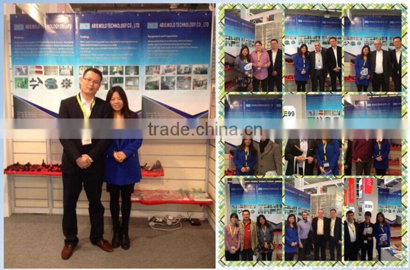 Manufacture Colors injection mold for household appliance