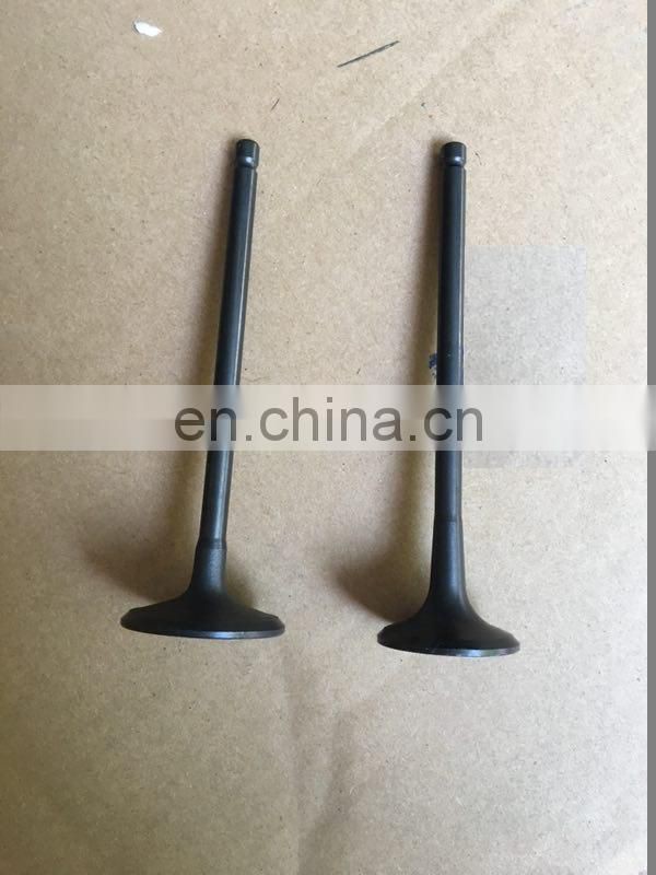 Intake Valve and exhaust valve for ford focus