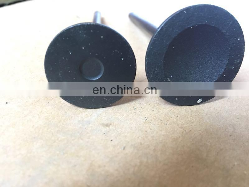Intake Valve and exhaust valve for ford focus