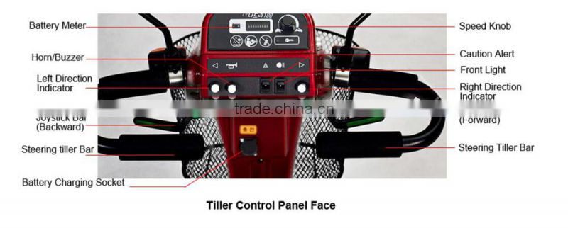 dual seat electric scooter with window screen