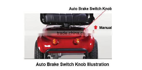 dual seat electric scooter with window screen