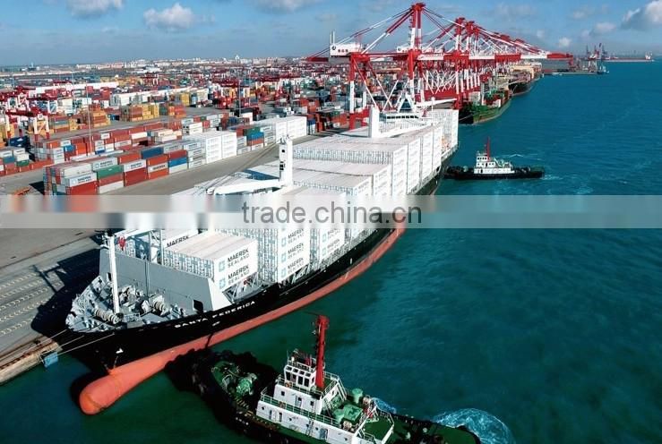 Electric motor bike BCA