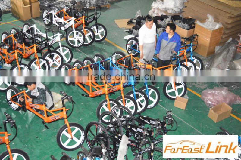 2016 Electric Mountain Bike BCM