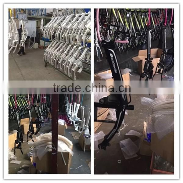 High quality hot sell two wheels electric bicycle