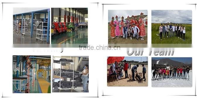 new design and cost-effectiveelectric bicycle/electric bike BCN for lady