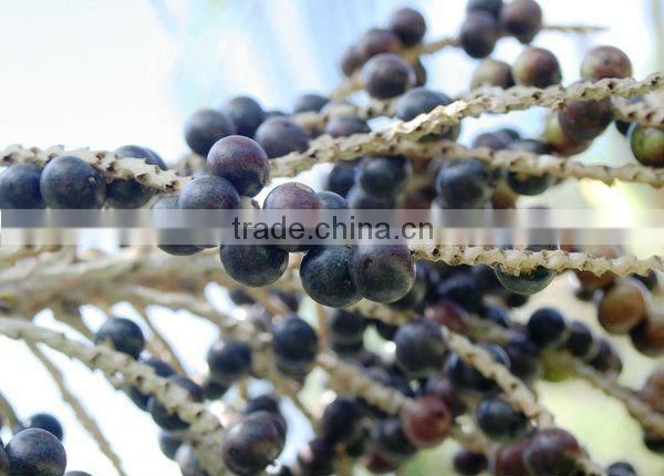 DIETARY SUPPLEMENT POWDER PURE ACAI BERRY