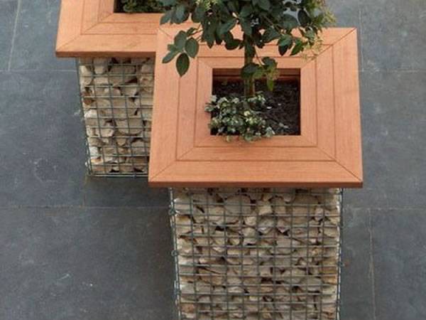 Two gabion planters with wooden seats on the ground and two plants in the gabion planter.