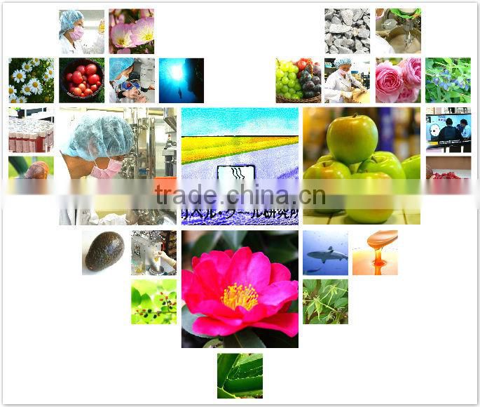 Beauty salon cosmetic before facial lotion"BC Ge BODY SOAP" with germanium made in Japan