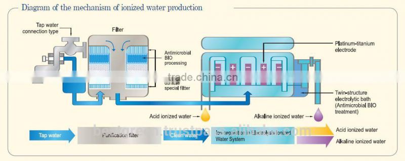 Water Ionizer with Two Filter
