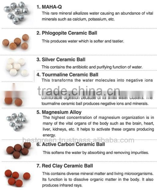 Alkaline Water Ionizer