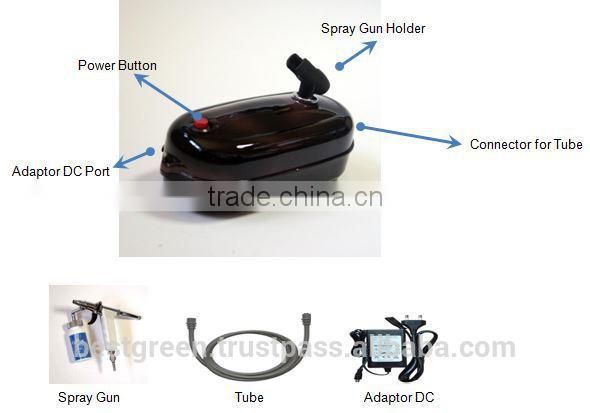 Nebulizer for Beauty