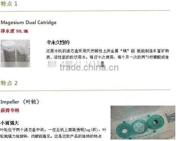 BG Alkaline Reduced Water Generator